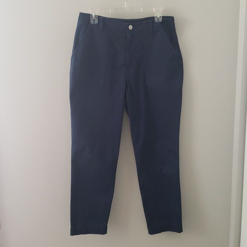 HUDSON Jeans Utility Chino Navy Straight Leg Jean sz 29